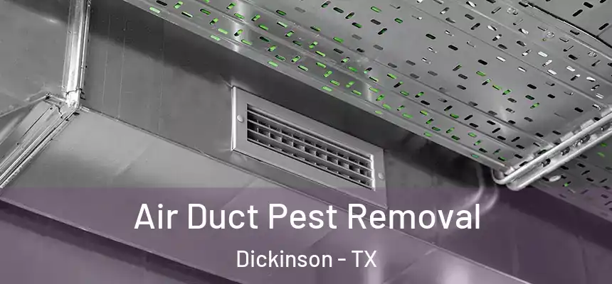  Air Duct Pest Removal Dickinson - TX