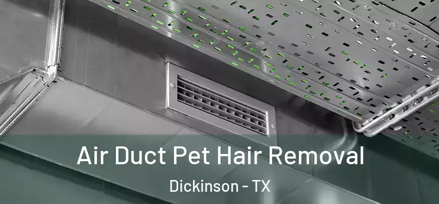  Air Duct Pet Hair Removal Dickinson - TX