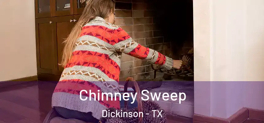  Chimney Sweep Dickinson - TX