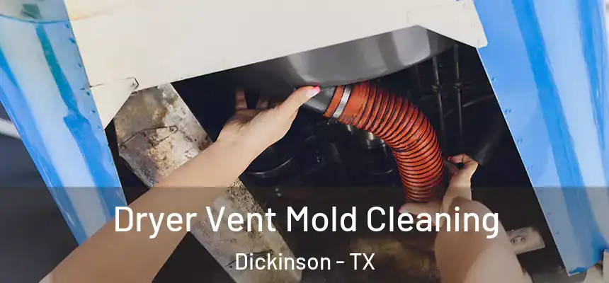 Dryer Vent Mold Cleaning Dickinson - TX