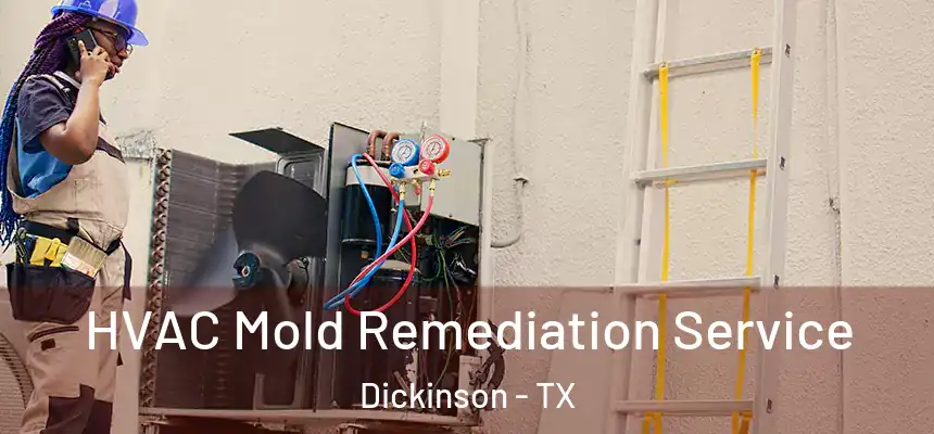  HVAC Mold Remediation Service Dickinson - TX