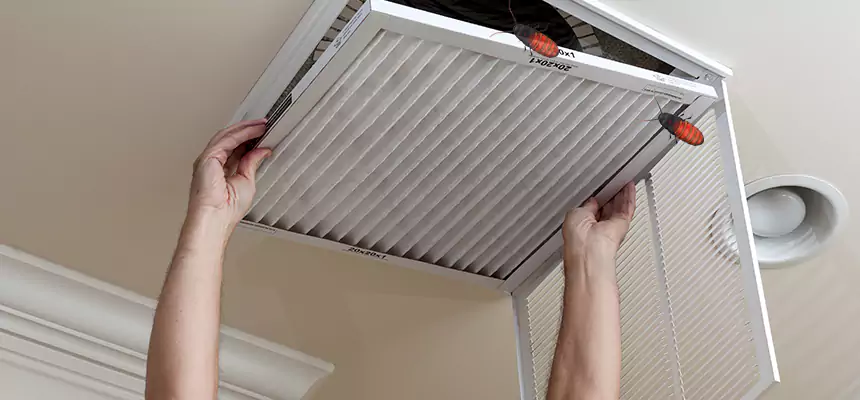 Preventive Cockroach-Proofing for Ducts in Dickinson