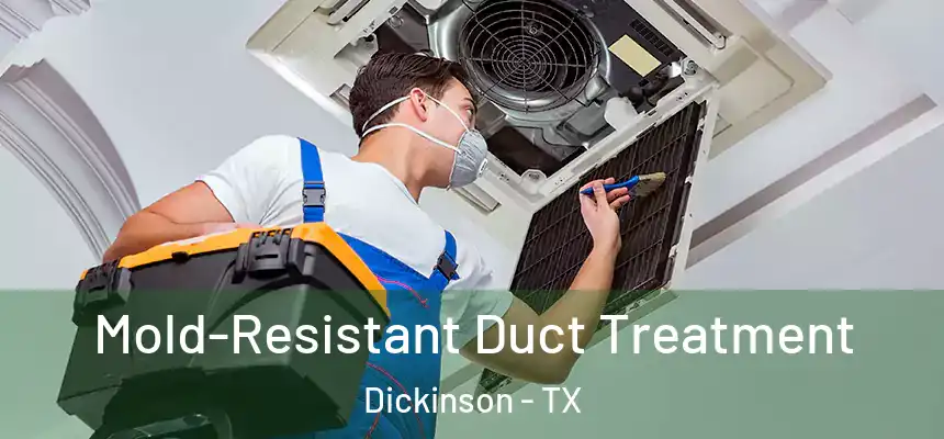  Mold-Resistant Duct Treatment Dickinson - TX