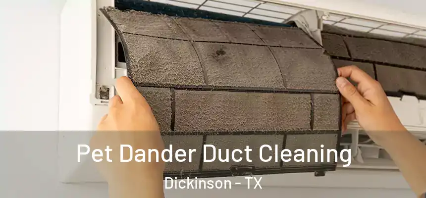 Pet Dander Duct Cleaning Dickinson - TX