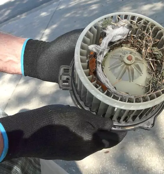 About Air Duct Rat Removal in Dickinson, TX