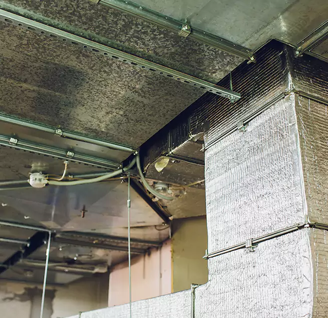 Why Homeowners & Businesses Trust Us in Dickinson, TX?